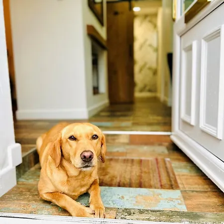 Dom wakacyjny 4 Bed In Seascale Oc-85807 Gosforth (Cumbria)